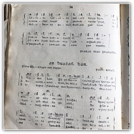 Click to enlarge